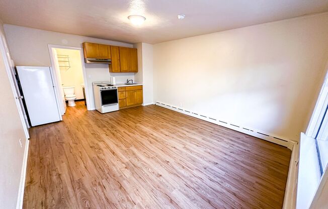 Studio, 1 bath, 250 sqft, $1,295, Unit 03