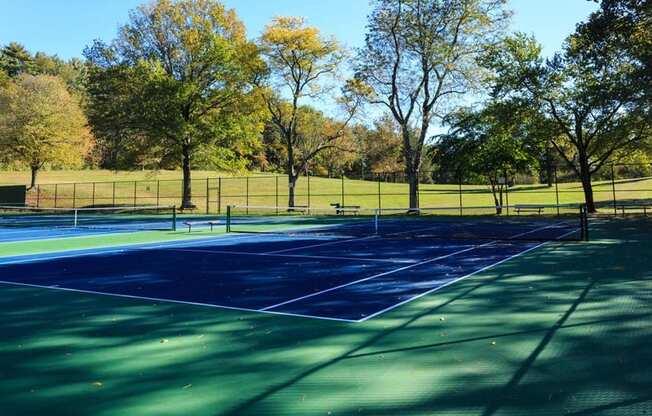 tennis courts