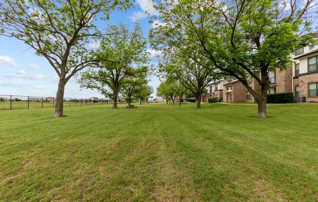A grassy field with trees and apartment buildings in the background.