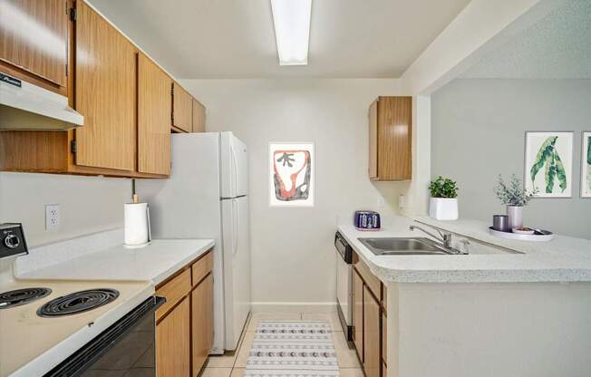 Kitchen with Wood Cabinets