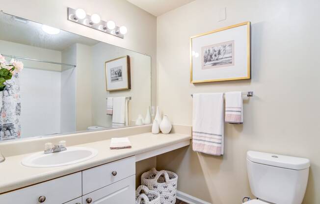 Ashford at Spring Lake apartments in Atlanta Georgia photo of bathroom with long vanity