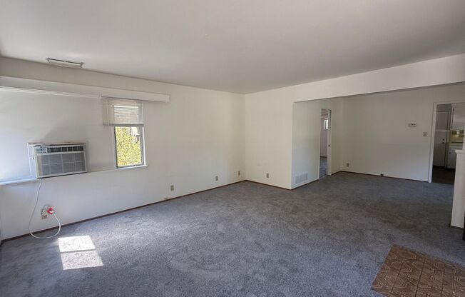 527 &amp; 529 Callan Avenue