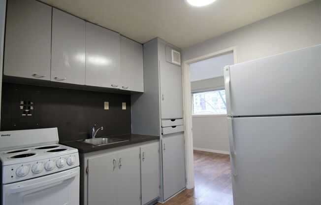 1 bed, 1 bath, 393 sqft, $1,395, Unit 312