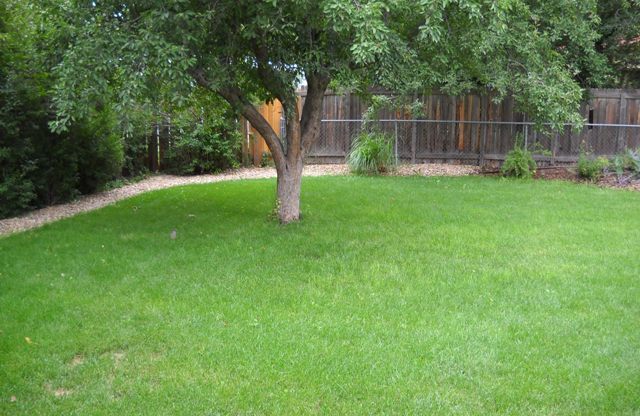 AVAILABLE NOW! Recently Updated Ranch Home in Great Boulder Location; 3 Bed with Huge Yard and Sprinker System; Lots of Storage