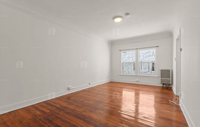 Studio, 1 bath, 500 sqft, $1,495, Unit Unit #207