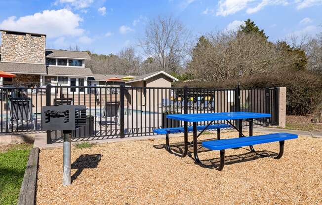 our picnic table and grill are next to our playground