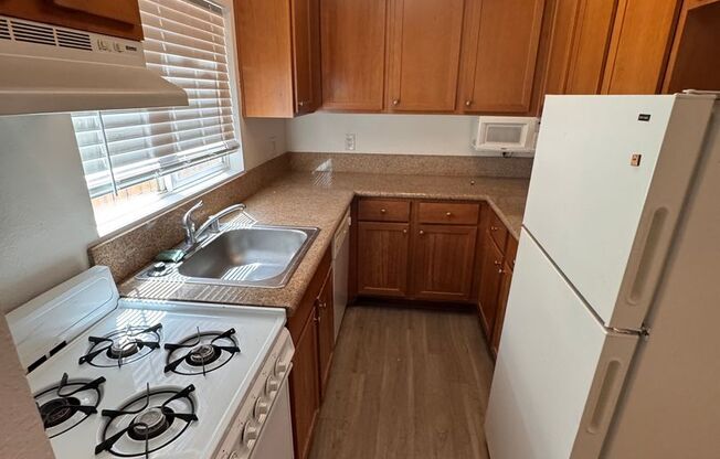 Studio, 1 bath, 425 sqft, $2,025, Unit 3