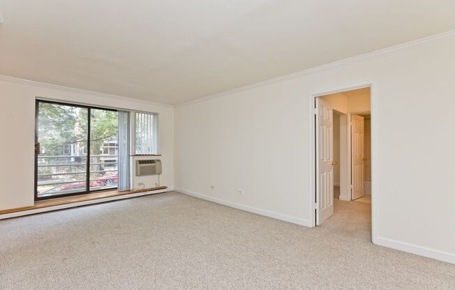 1 bed, 1 bath, $1,595, Unit 213