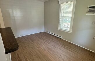 1 bed, 1 bath, 300 sqft, $950, Unit Apt 1