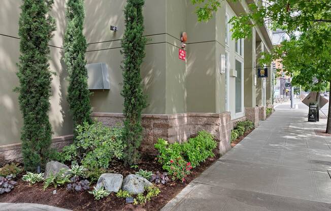 Sidewalk View of Stunning Landscaping with tall Columns of Greenery and Delicate Flowers at Excalibur Apartment Homes, WA 98004