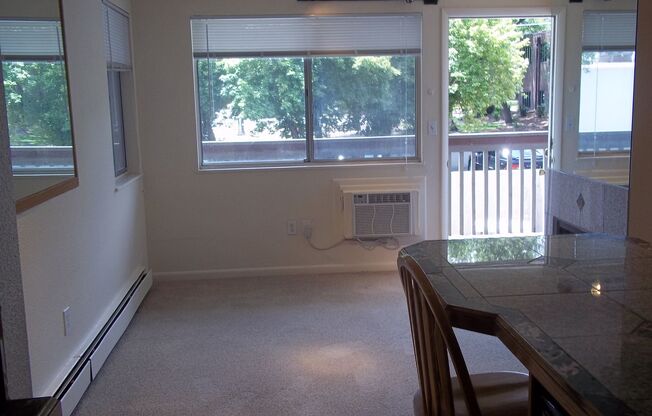 Studio, 1 bath, 300 sqft, $1,195, Unit 210