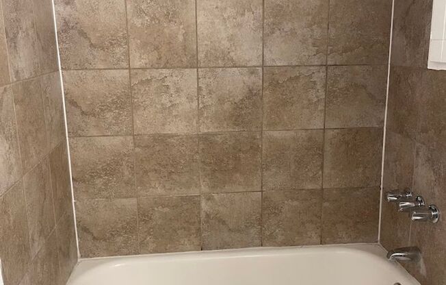 1 bed, 1 bath, 419 sqft, $1,100, Unit 224