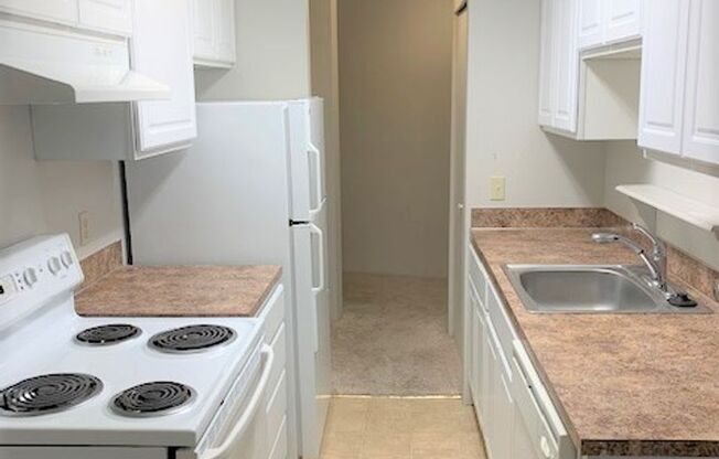 1 bed, 1 bath, $1,500, Unit 203