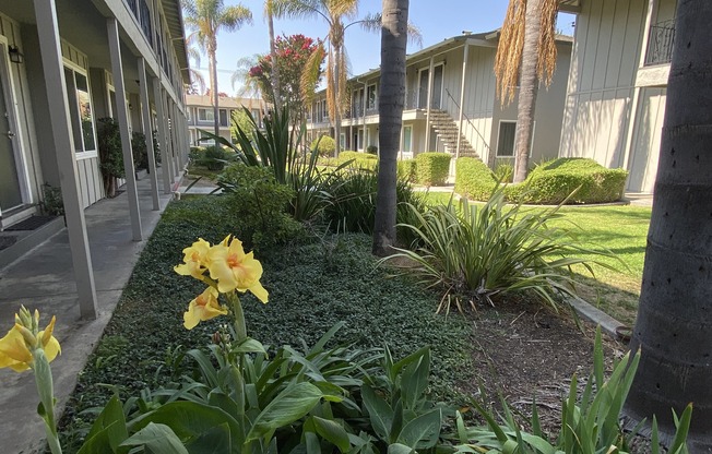 a courtyard with flowers and palm trees