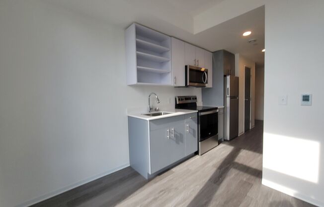 Studio, 1 bath, 403 sqft, $1,590, Unit 520