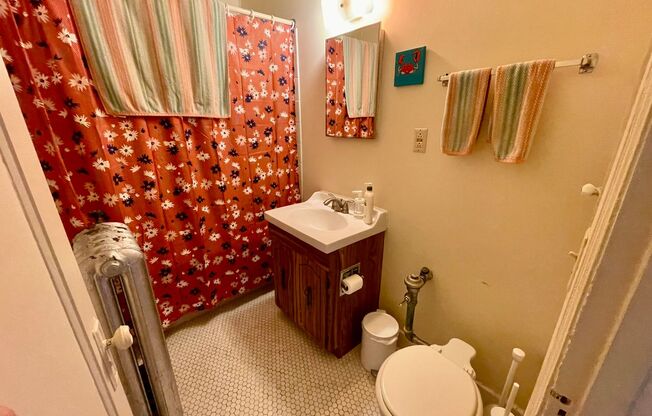 Studio, 1 bath, $850, Unit 41