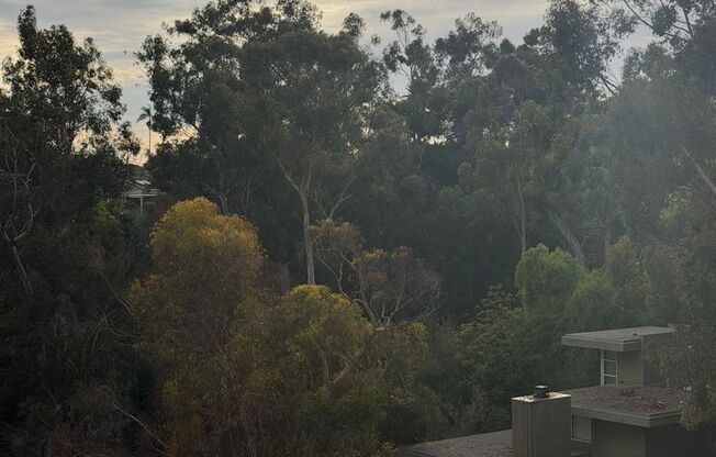 2 beds, 2 baths, 816 sqft, $4,395, Unit 605