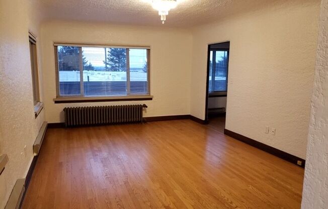 Studio, 1 bath, 513 sqft, $1,595, Unit 101