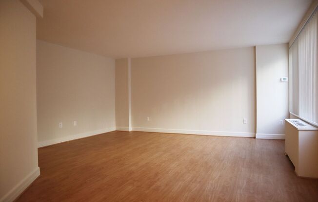 Studio, 1 bath, 460 sqft, $2,200, Unit 0116