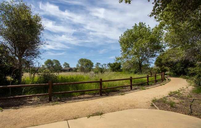 a path through a park with a fence