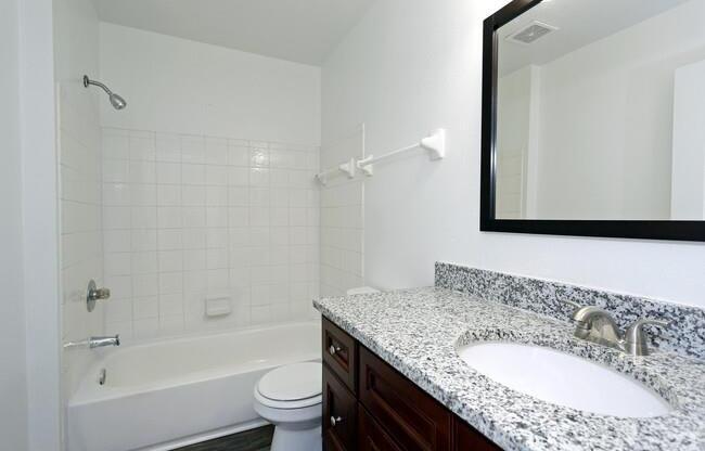 a bathroom with a sink and a bath tub and a mirror