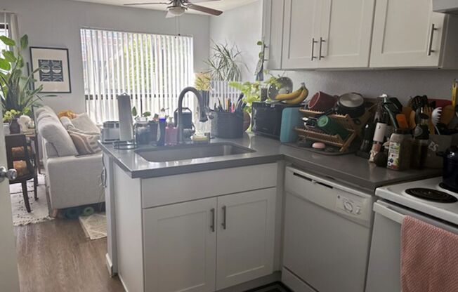 1 bed, 1 bath, 475 sqft, $1,850, Unit 204
