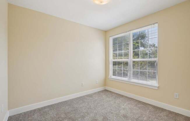 A room with a window and carpeted floor.