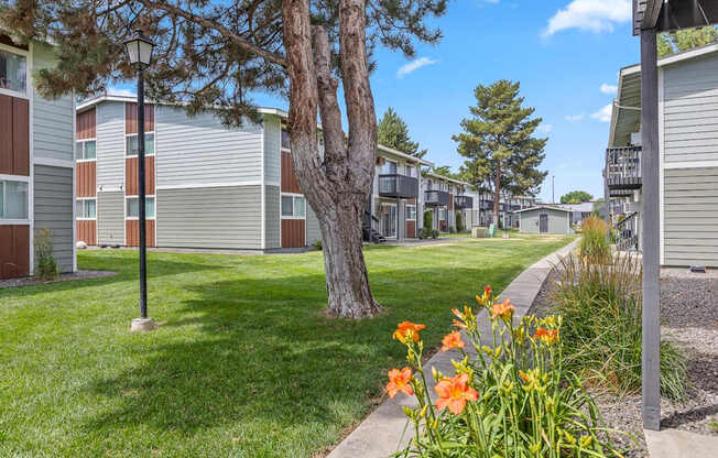 A tree with orange flowers in front of apartment buildings A row of apartment buildings with green lawns in front A bedroom with a bed, nightstand, and window at Wildflower, Kennewick, WA 99336..