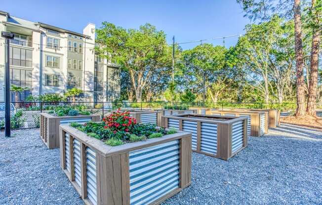 a community garden with wooden planters and trees and buildings in the background
