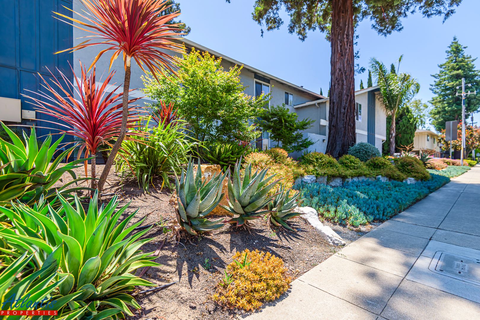Lovely Condo | Private Yard | Prime Location