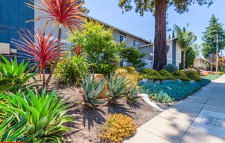 Lovely Condo | Private Yard | Prime Location