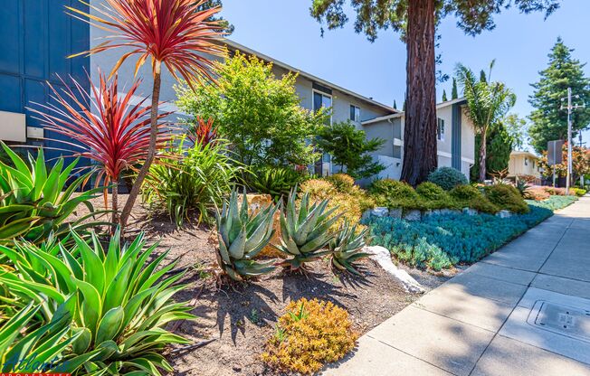 Lovely Condo | Private Yard | Prime Location