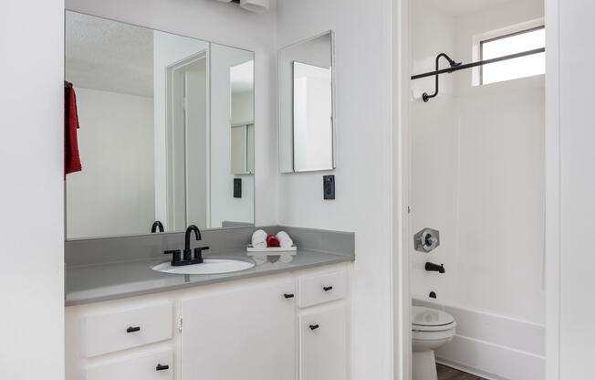 a bathroom with a sink and a mirror and a toilet