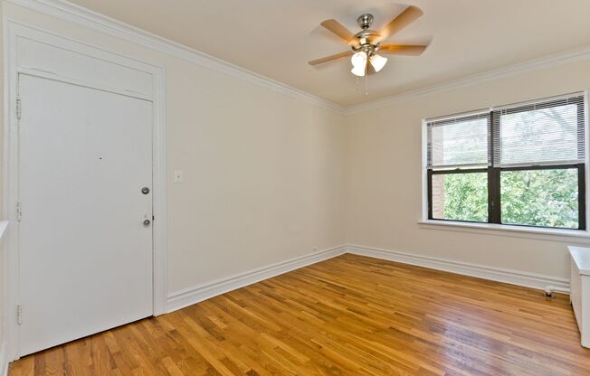 Studio, 1 bath, $1,250, Unit 409