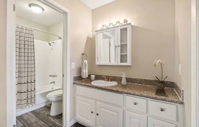 Bathroom Vanity at SunVilla Apartments in Mesa Arizona