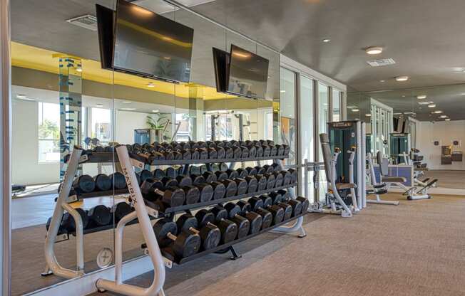 South Scottsdale Apartments - Lucent Scottsdale - fitness center with cardio and strength training equipment, dumbbells, TVs