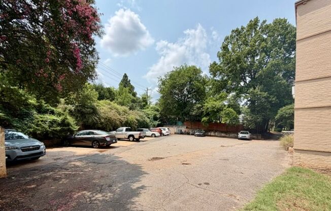 1/2 MONTH OFF SPECIAL - Dilworth -Historic Myrtle Sq 1 bed 1 bath condo