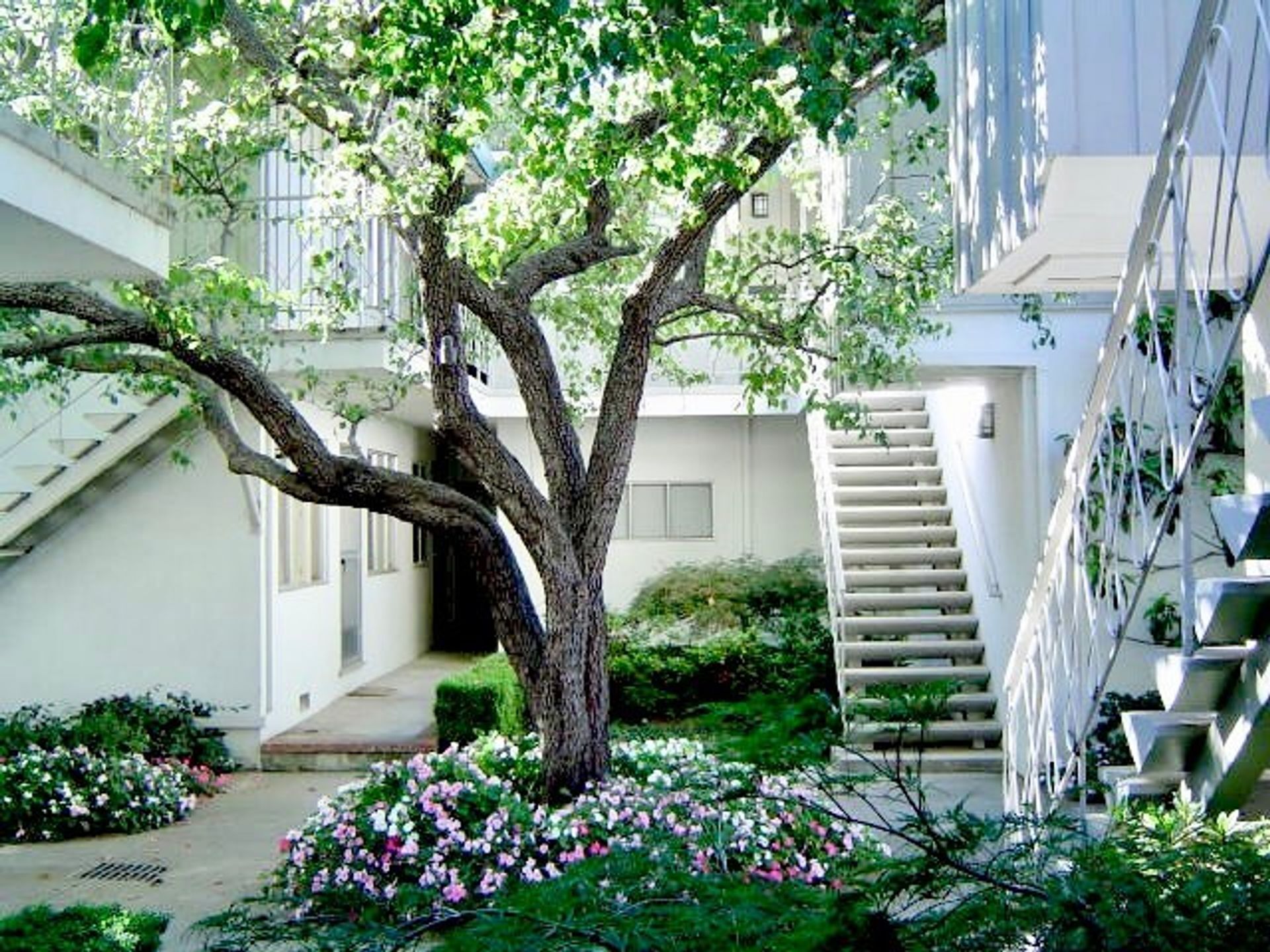 Menlo Park - The Pines Apts - In West Menlo, Close to Shopping, Restaurants, Stanford