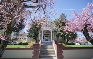 $500 OFF! Fantastic Vintage Studio in Nob Hill with Modern Updates!