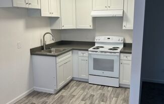 1 bed, 1 bath, $2,500