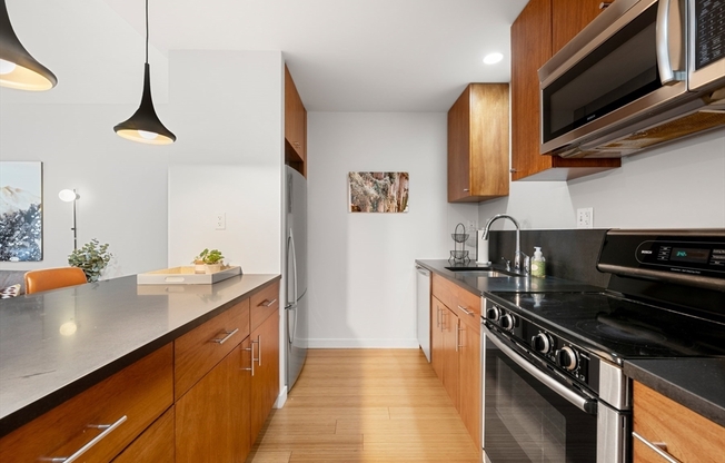 1 bed, 1 bath, 738 sqft, $3,800, Unit 206