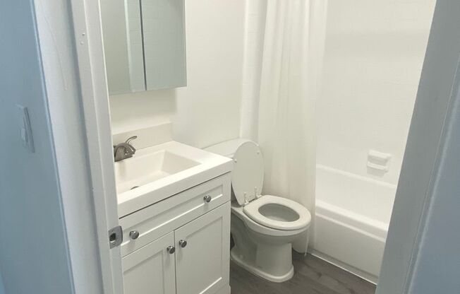 Studio, 1 bath, 390 sqft, $1,875, Unit 306