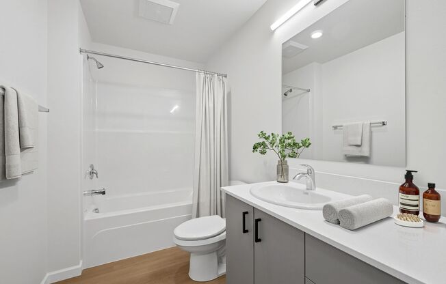 1 bed, 1 bath, 548 sqft, $1,650, Unit 100