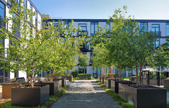 city-mews-city-modern