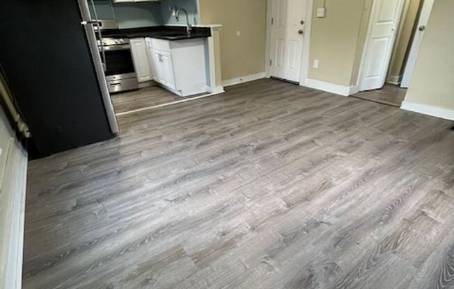 Gorgeous Studio Apartment in quiet Pittsfield Street