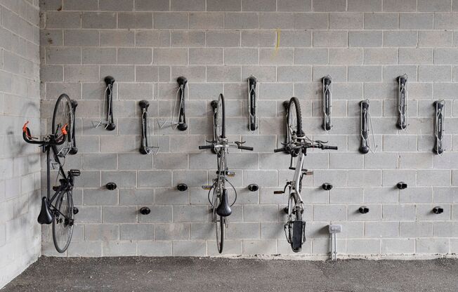 Studio, 1 bath, 360 sqft, $1,625, Unit 207