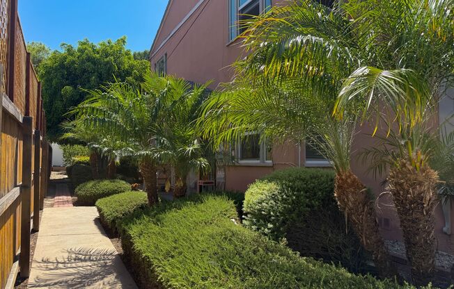 Texas North Apartments