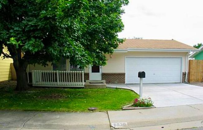 Large Fenced Yard!