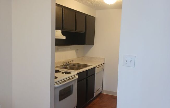 1 bed, 1 bath, 645 sqft, $1,050, Unit 710