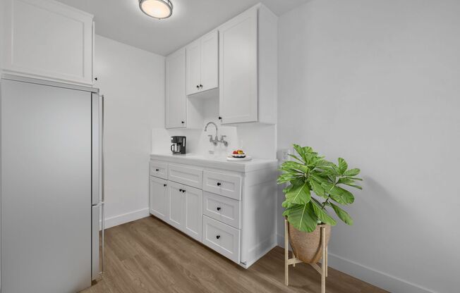 Newly Renovated 1 Bedroom on 2nd Street- Belmont Heights